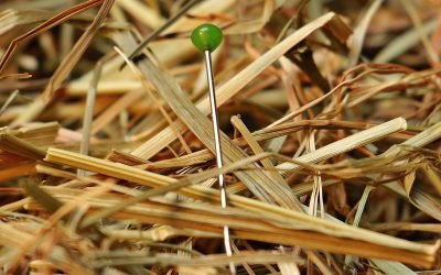 Kies de beste business coach met deze 10 tips