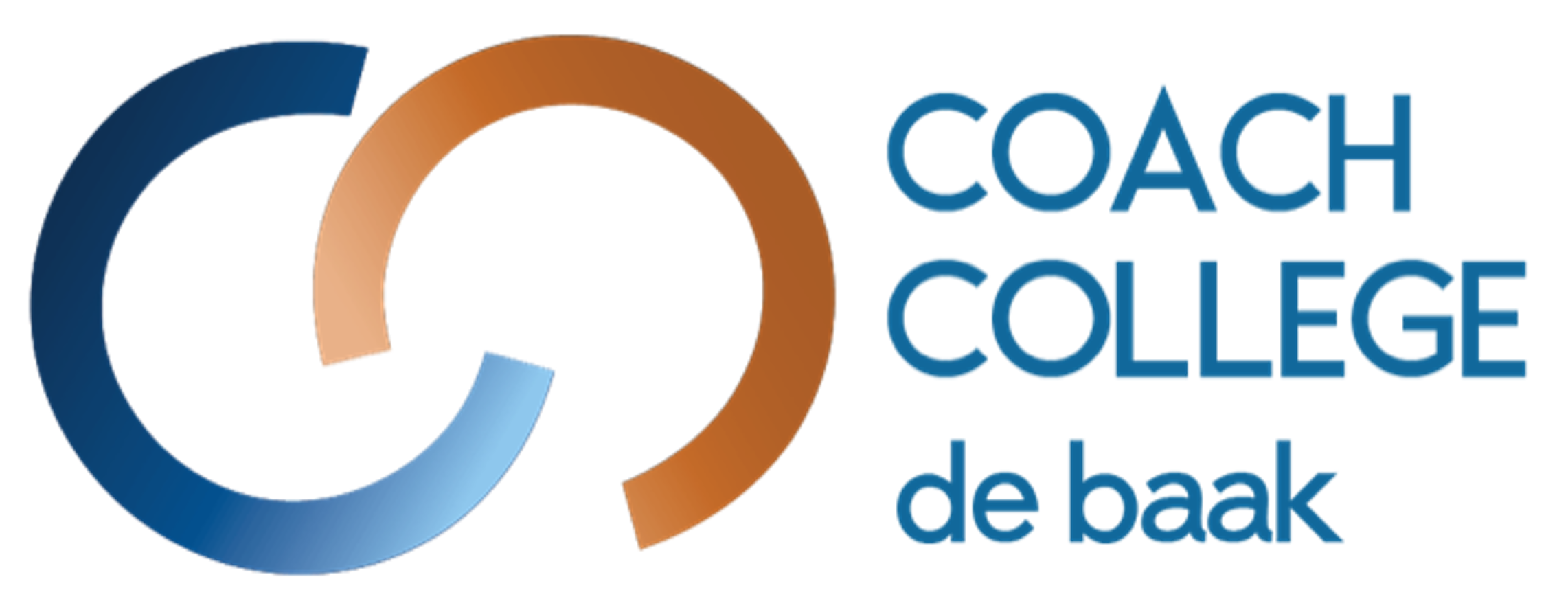 Logo Europees Instituut